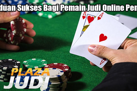 Panduan Sukses Bagi Pemain Judi Online Pemula